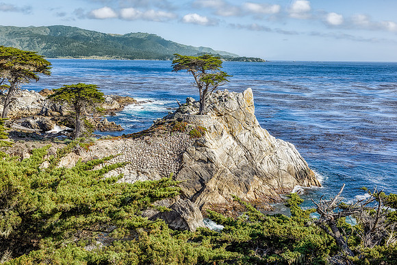 "Lone Cypress"