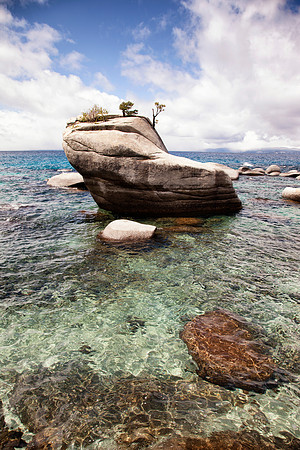 "Bonsai Rock"