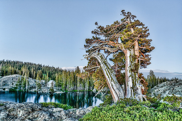 "Juniper Lake"