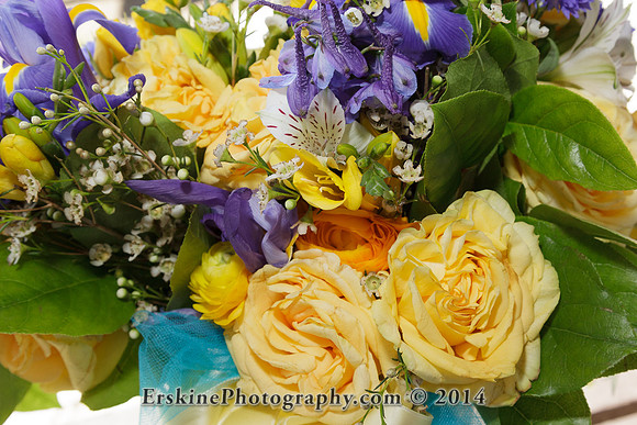 ErskinePhotographyKrystina_MG_7612z