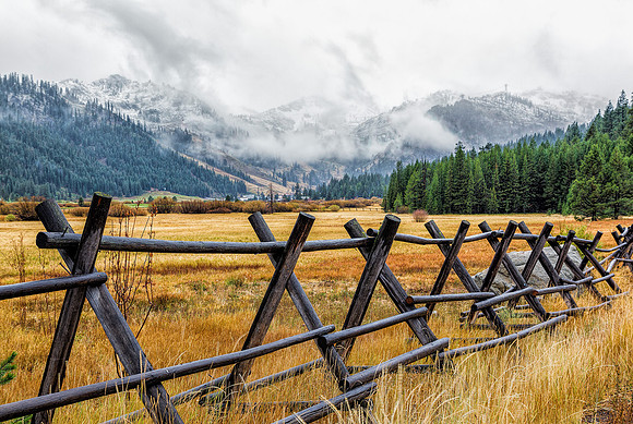 "First Snow"