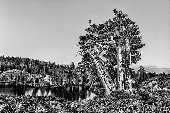 Juniper Lake BW