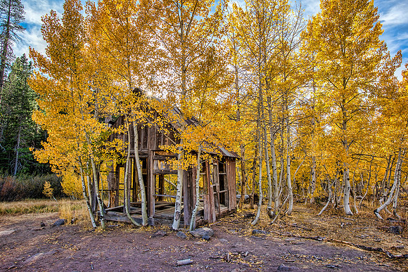 "Autumn Shack"
