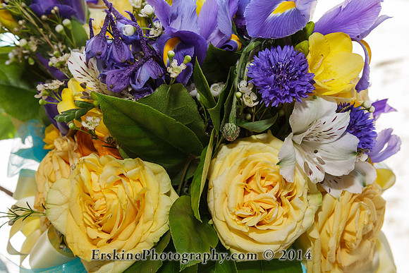 ErskinePhotographyKrystina_MG_7610z