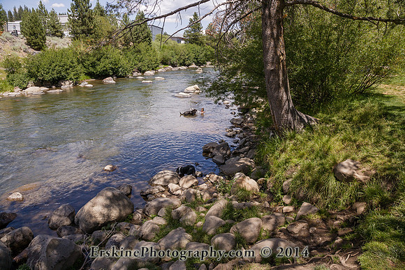 ErskinePhotographyKrystina_B5M7589z