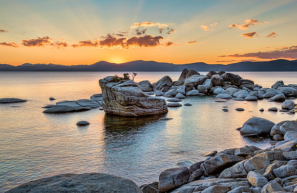 "Bonsai Sunset"