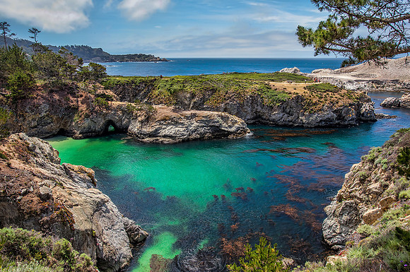 Pt Lobos
